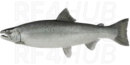 Сима