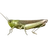 Кузнечик