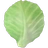 Капустный лист