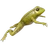 Лягушка