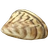 Мясо дрейссены