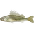 Ёрш