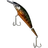 Salmon T1 Shad 12 003